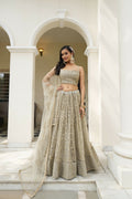 Eilara Glamorous Ivory Butterfly Net With Thread And Sequence Embroidered Work Fancy Lace Lehenga Choli For Wedding | Grocsy