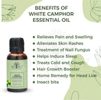 Devinez White Camphor Essential Oil | Grocsy