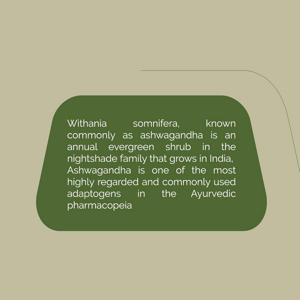 Rajah Ayurveda Ashwagandha Tablets | Grocsy