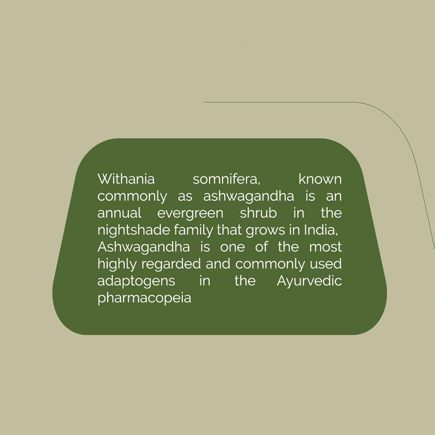 Rajah Ayurveda Ashwagandha Tablets | Grocsy