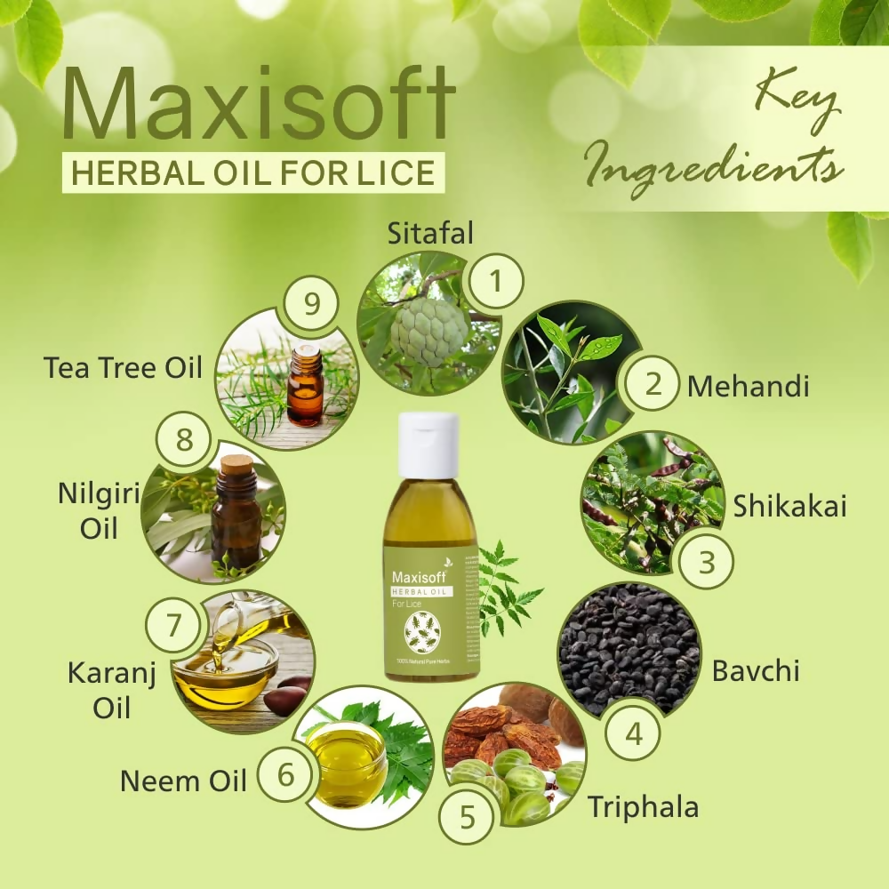 Maxisoft Lice Herbal Oil | Grocsy