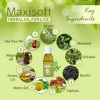 Maxisoft Lice Herbal Oil | Grocsy