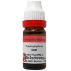 Dr. Reckeweg Caulophyllum Dilution | Grocsy
