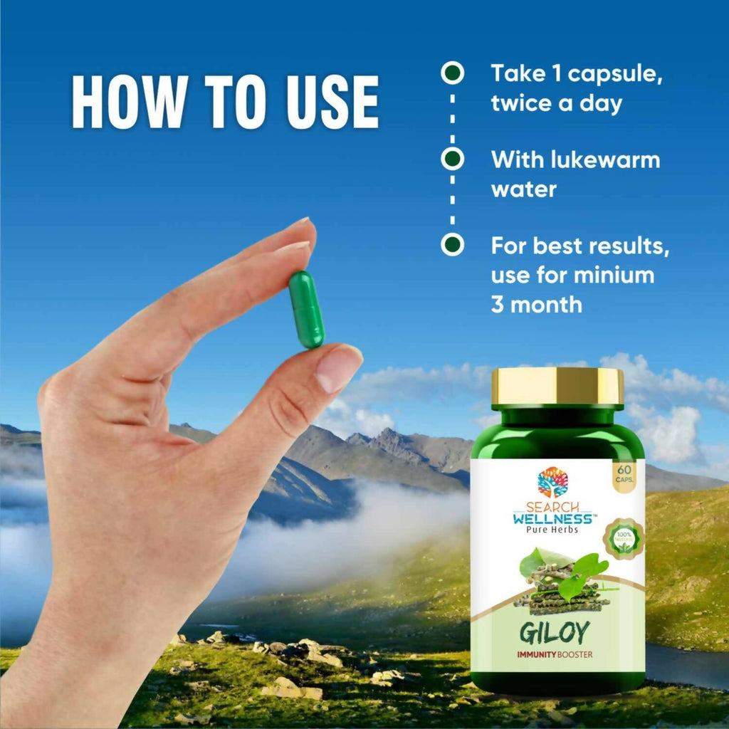 Search Wellness Giloy Capsules | Grocsy