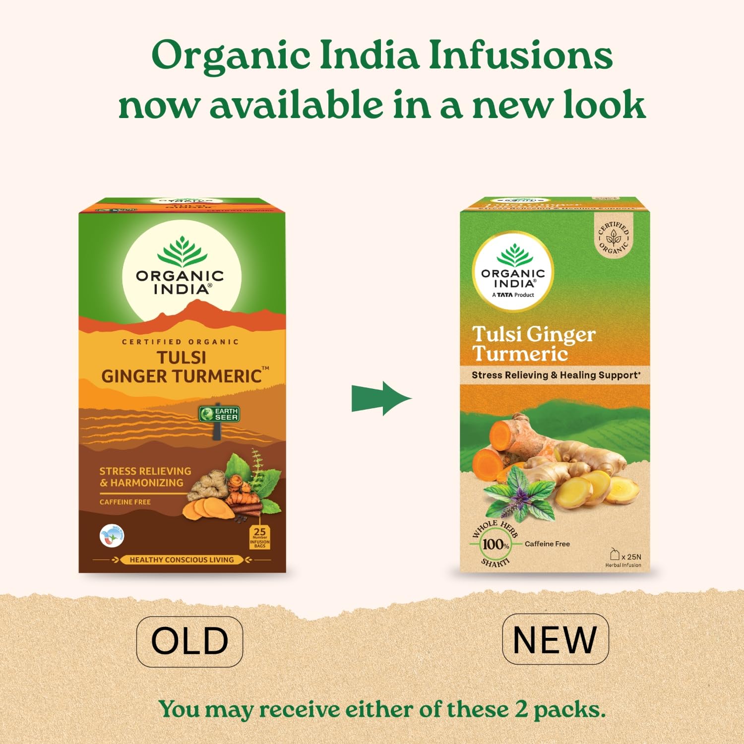 Organic India Tulsi Ginger Tea Tin | Grocsy