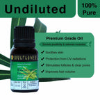 Soulflower Aromatherapy Pure Eucalyptus Essential Oil | Grocsy