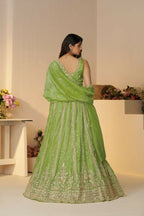 Kesar Fab Green Jimmy Choo Hand_Woven Lehenga | Grocsy