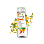 Herbal Essences Daily Detox Volume Crimson Orange and Mint Shampoo | Grocsy