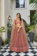 Aastha Fashion Rust Butterfly Net Tone To Tone Cotton Thread Work And Sequence Work Embroidery Wedding Wear Lehenga Choli | Grocsy