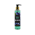 Ayuveer Blueberry & Tea Tree Shampoo | Grocsy