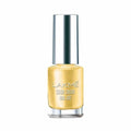 Lakme Color Crush Nailart - M12 Gold | Grocsy