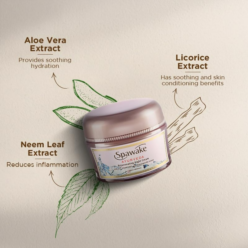 Spawake Ayurveda Rejuvenating Night Cream | Grocsy