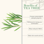 Good Vibes 100% Pure Tea Tree Essential Oil | Grocsy