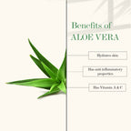 Good Vibes Aloe Vera Revitalizing Night Cream | Grocsy