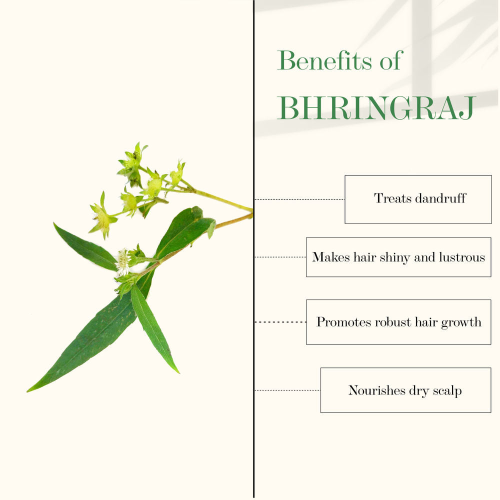 Good Vibes Amla & Bhringraj Strengthening Hair Oil | Grocsy
