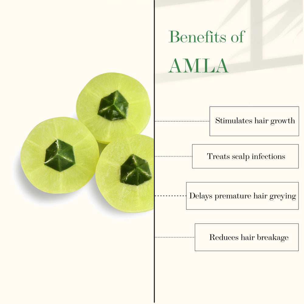 Good Vibes Amla & Bhringraj Strengthening Hair Oil | Grocsy