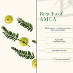 Good Vibes Amla & Shikakai Strengthening Conditioner | Grocsy