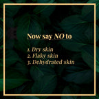 Good Vibes Nourishing Face Cream - Olive | Grocsy