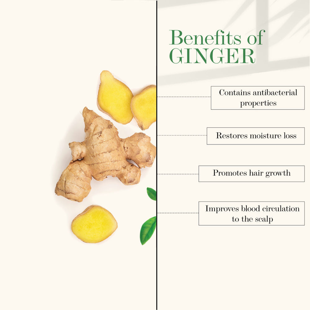 Good Vibes Anti Dandruff Conditioner - Ginger | Grocsy