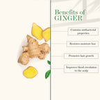 Good Vibes Anti Dandruff Conditioner - Ginger | Grocsy