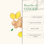 Good Vibes Anti Dandruff Shampoo - Ginger | Grocsy
