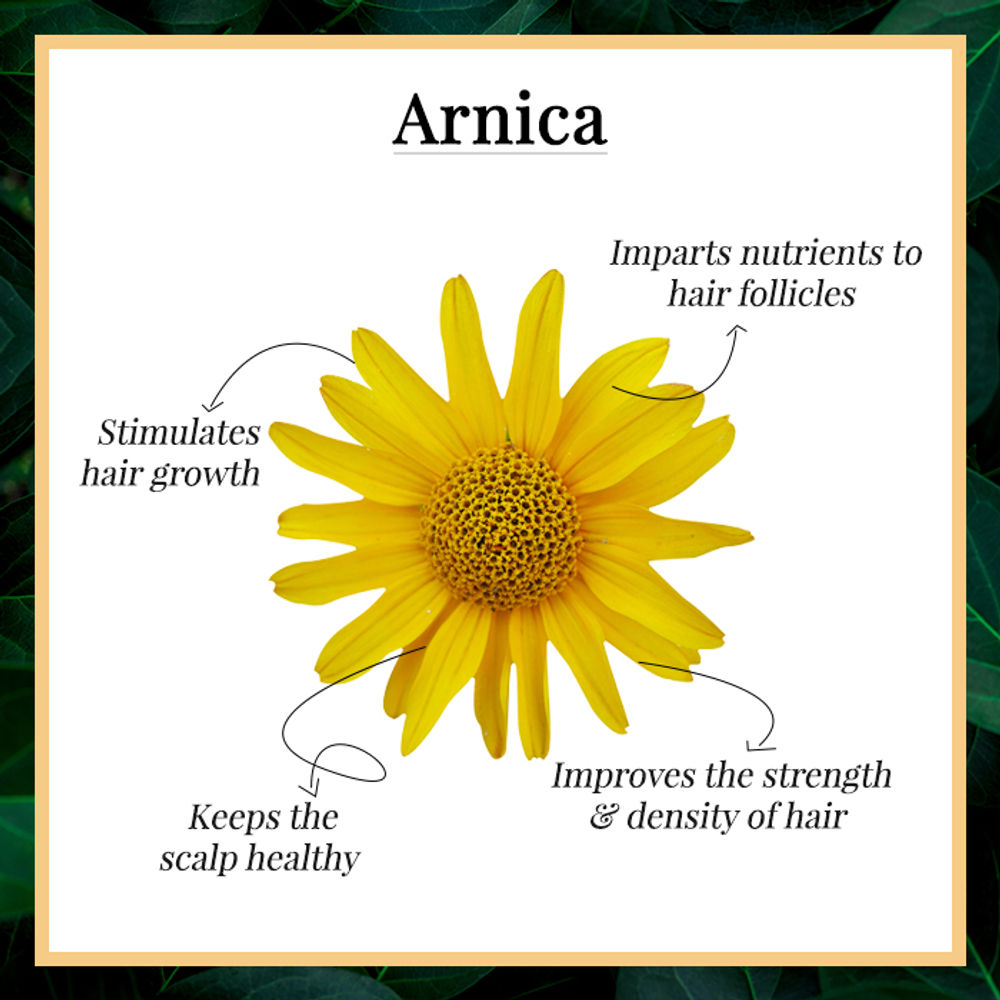 Good Vibes Damage Control Hair Mist - Arnica | Grocsy