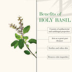 Good Vibes Blackhead Removal + Anti-Ageing Face Wash - Tea Tree Oil + Holy Basil | Grocsy