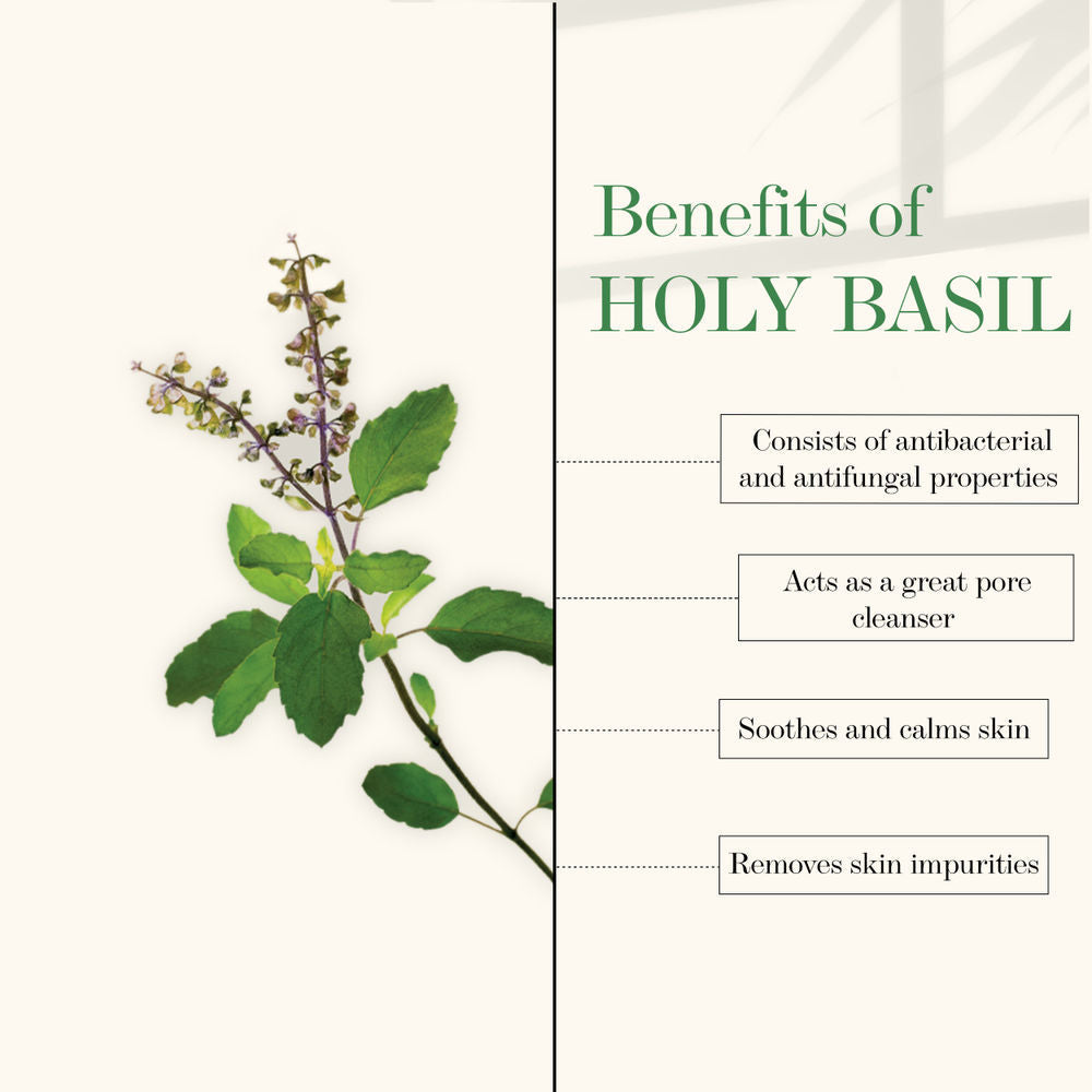 Good Vibes Blackhead Removal + Anti-Ageing Face Wash - Tea Tree Oil + Holy Basil | Grocsy