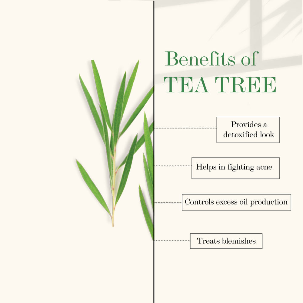 Good Vibes Blackhead Removal + Anti-Ageing Face Wash - Tea Tree Oil + Holy Basil | Grocsy