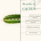 Good Vibes Cactus And Rosehip Cold Pressed Oil For Hair & Skin | Grocsy