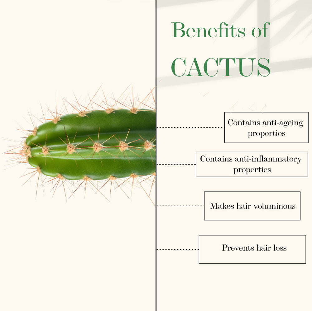 Good Vibes Cactus And Rosehip Cold Pressed Oil For Hair & Skin | Grocsy