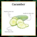Good Vibes Cucumber Moisturizing Face Gel | Grocsy