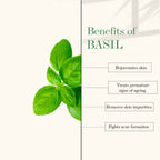 Good Vibes Deep Cleansing Face Scrub - Lemon & Basil | Grocsy