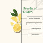 Good Vibes Deep Cleansing Face Scrub - Lemon & Basil | Grocsy