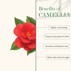 Good Vibes 100% Natural Camellia Deep Moisturizing Facial Oil | Grocsy