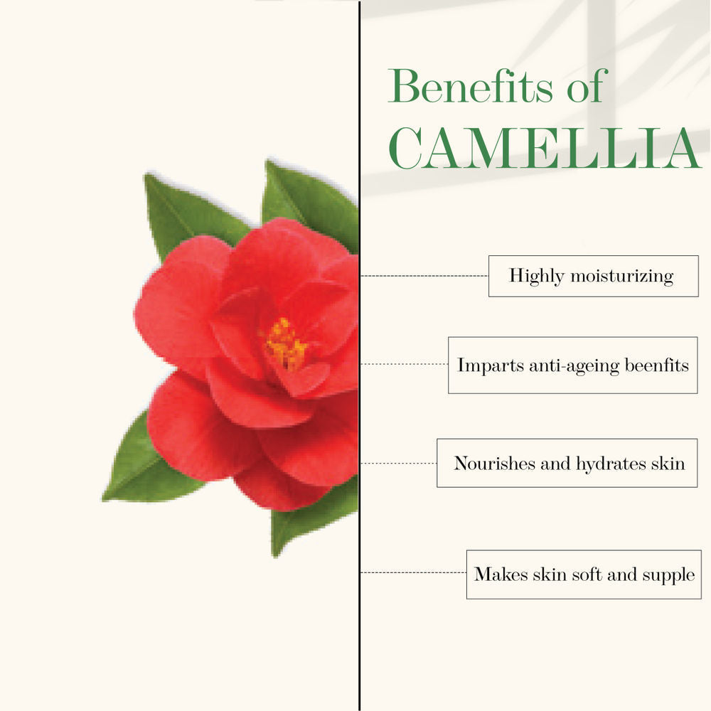 Good Vibes 100% Natural Camellia Deep Moisturizing Facial Oil | Grocsy