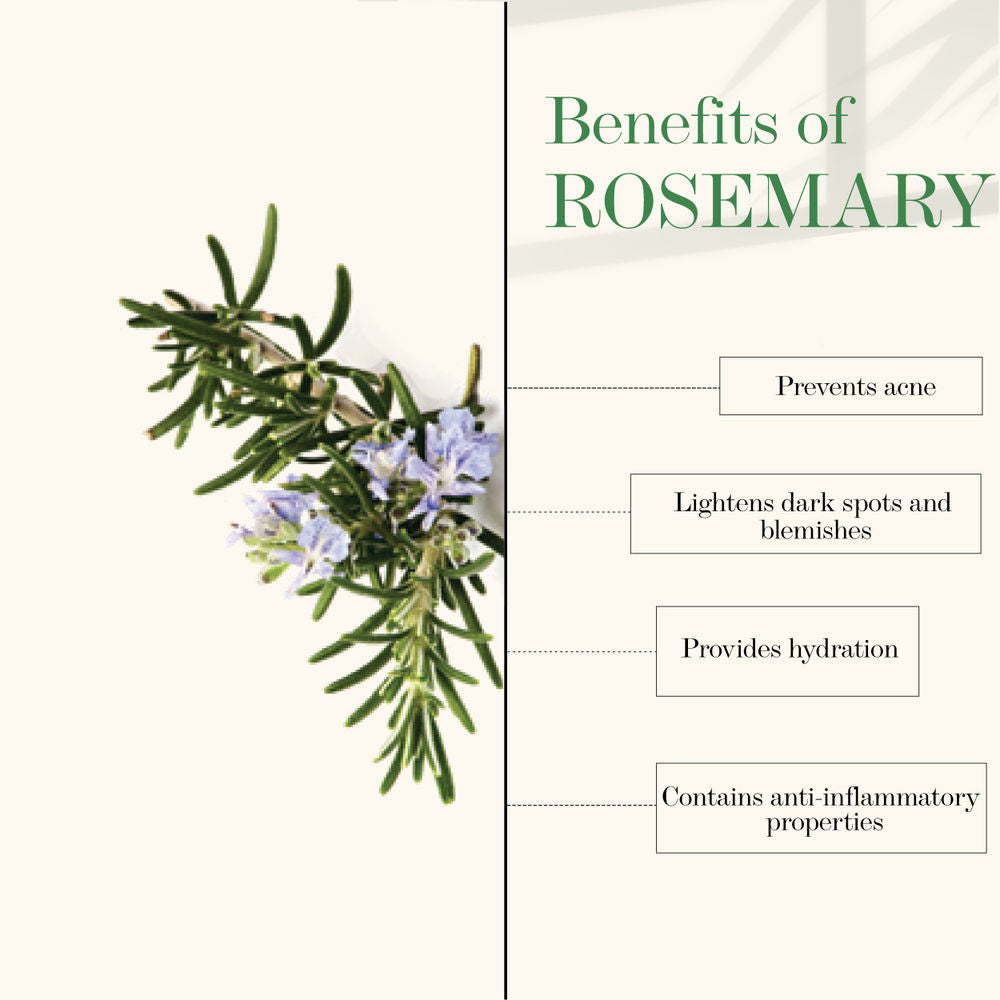Good Vibes Energizing Face Mist - Rosemary | Grocsy