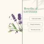Good Vibes Nourishing Foot Cream - Lavender | Grocsy