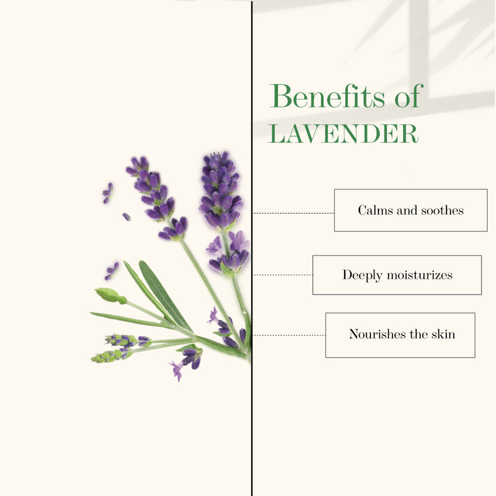 Good Vibes Nourishing Foot Cream - Lavender | Grocsy
