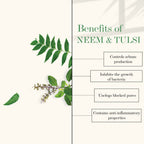 Good Vibes Neem & Tulsi Moisturizing Face Gel | Grocsy