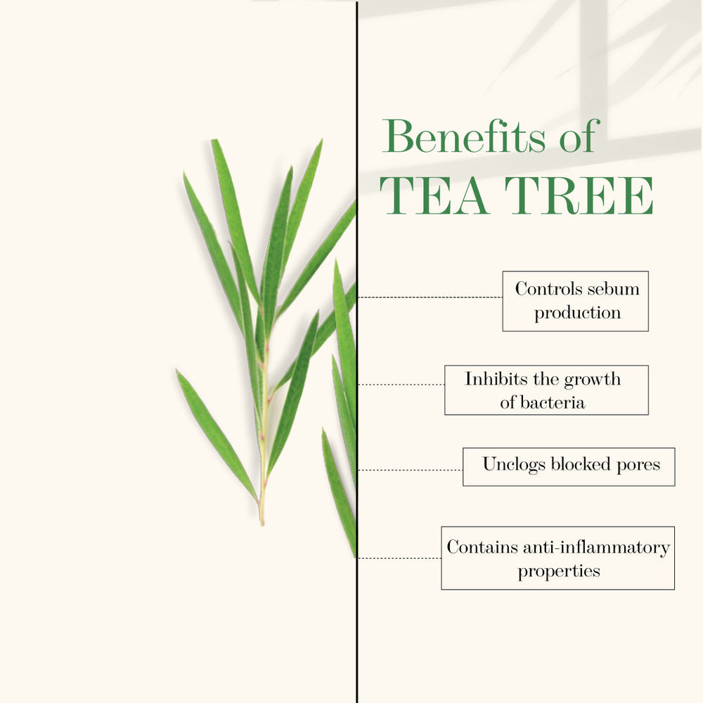 Good Vibes Tea Tree Nourishing Gel | Grocsy