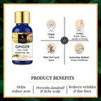 Good Vibes 100% Pure Essential Oil - Ginger | Grocsy