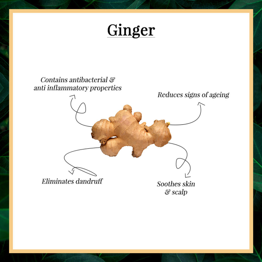 Good Vibes 100% Pure Essential Oil - Ginger | Grocsy
