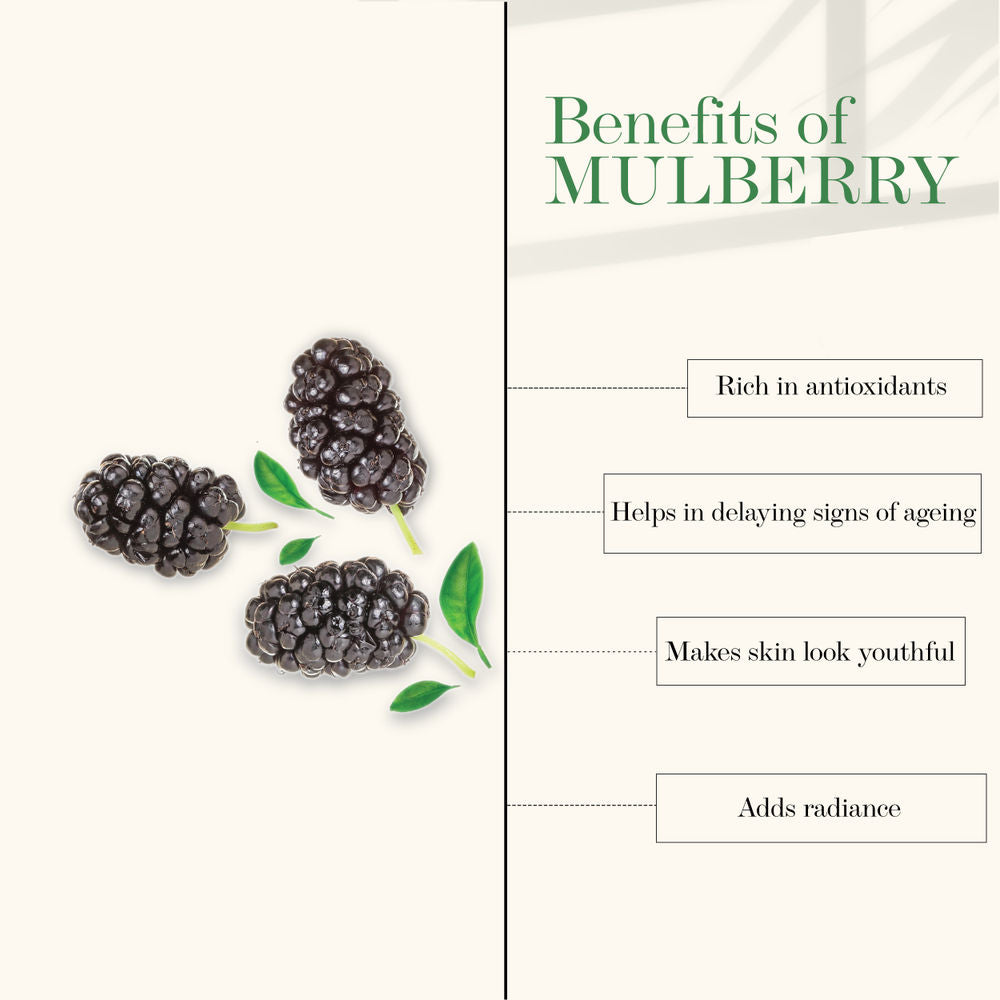 Good Vibes Mulberry Glow Toner | Grocsy