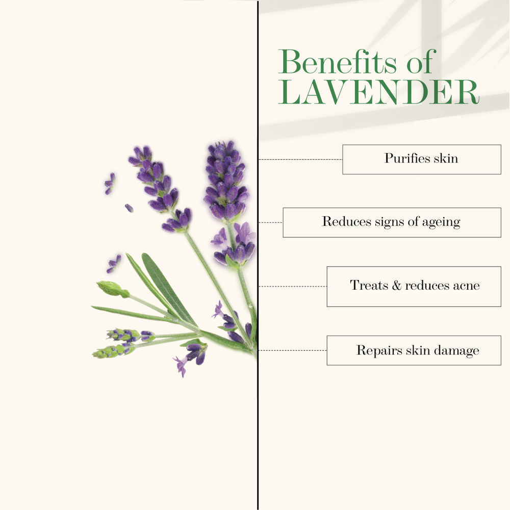 Good Vibes Lavender Soothing Toner | Grocsy