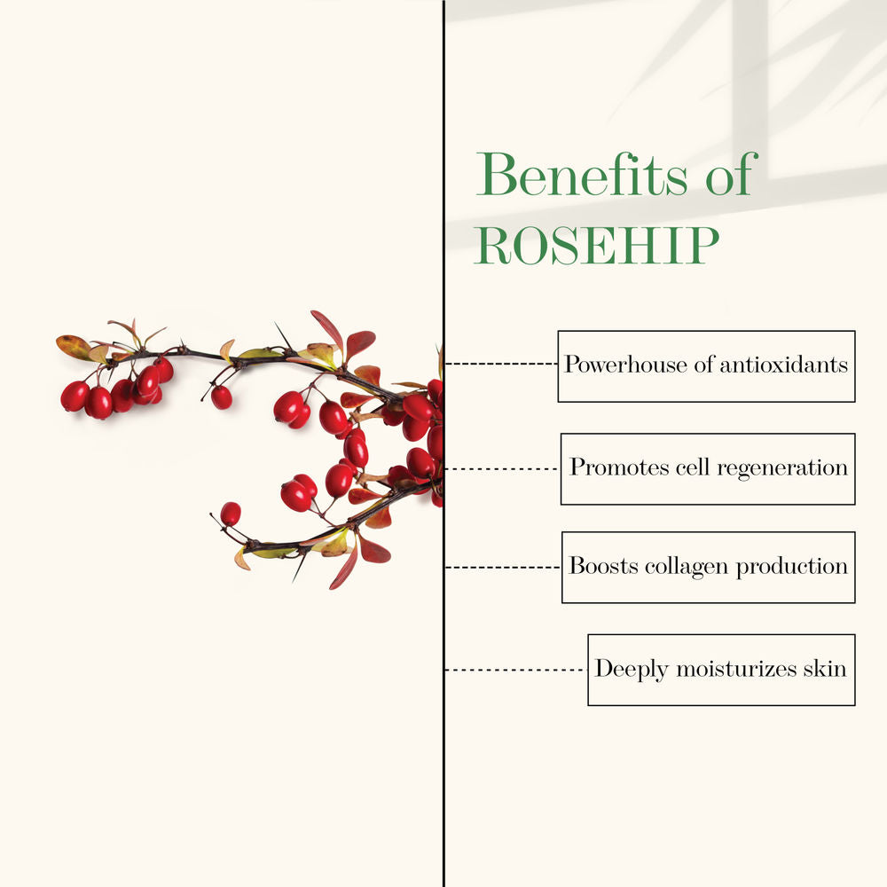 Good Vibes Rosehip Moisture Rich Face Cream | Grocsy