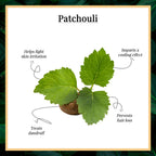 Good Vibes 100% Pure Essential Oil - Patchouli | Grocsy