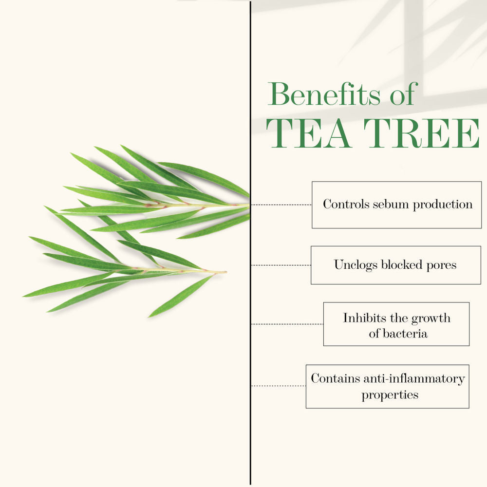 Good Vibes Tea Tree Purifying Face Cream | Grocsy