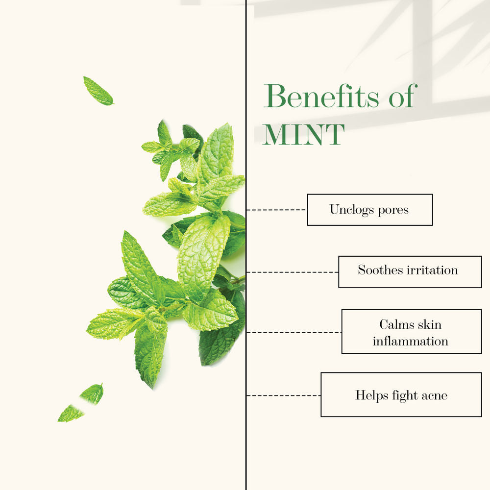 Good Vibes Refreshing Face Mist - Lavender & Mint | Grocsy