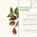 Good Vibes Skin Balancing Facial Oil - Jojoba | Grocsy